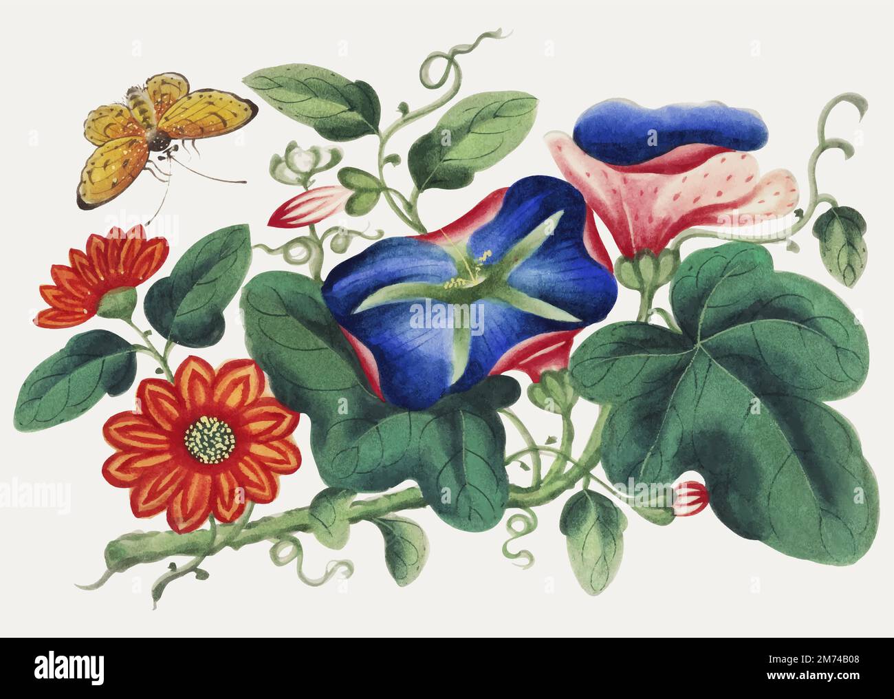 Chinese painting featuring flowers and butterfly Stock Vector Image