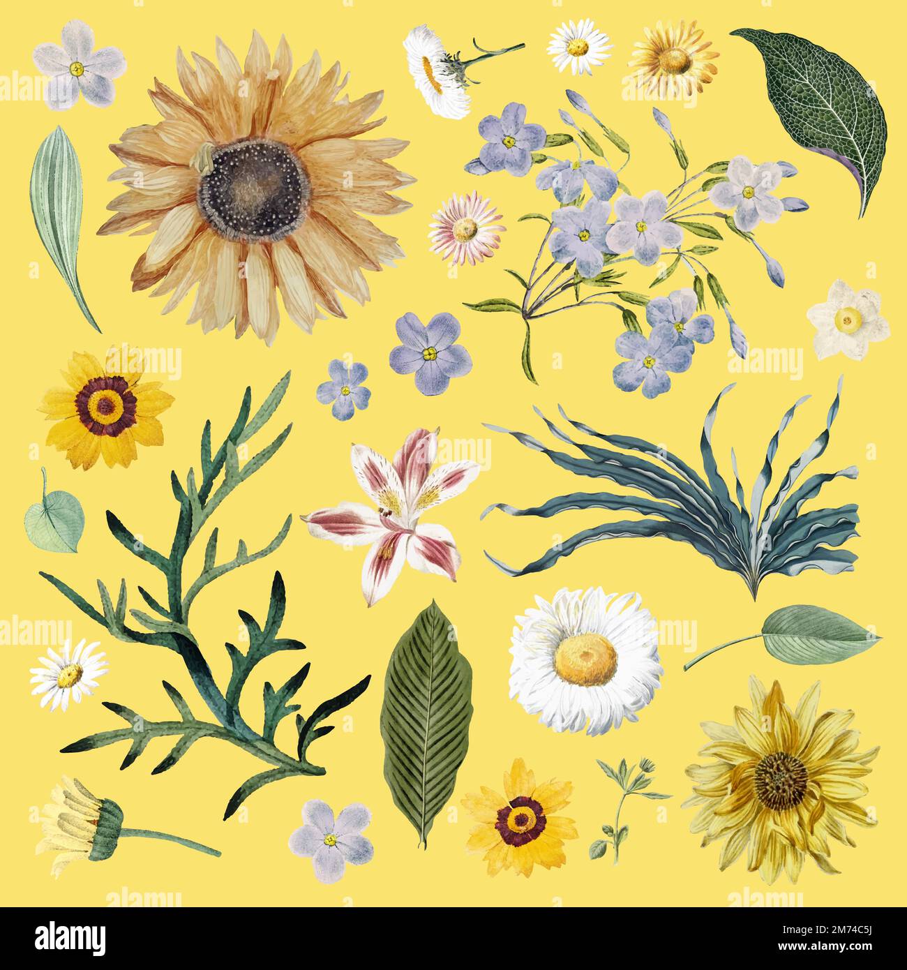 Set of beautifully painted flowers Stock Vector Image & Art Alamy