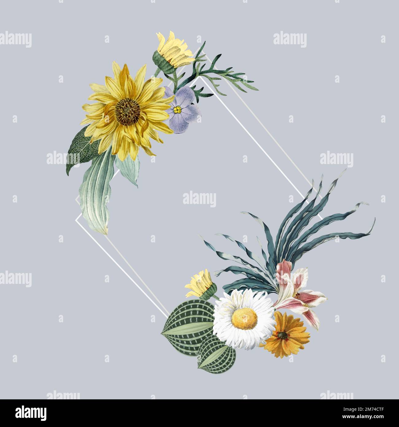 Frame decorated with flowers vector Stock Vector