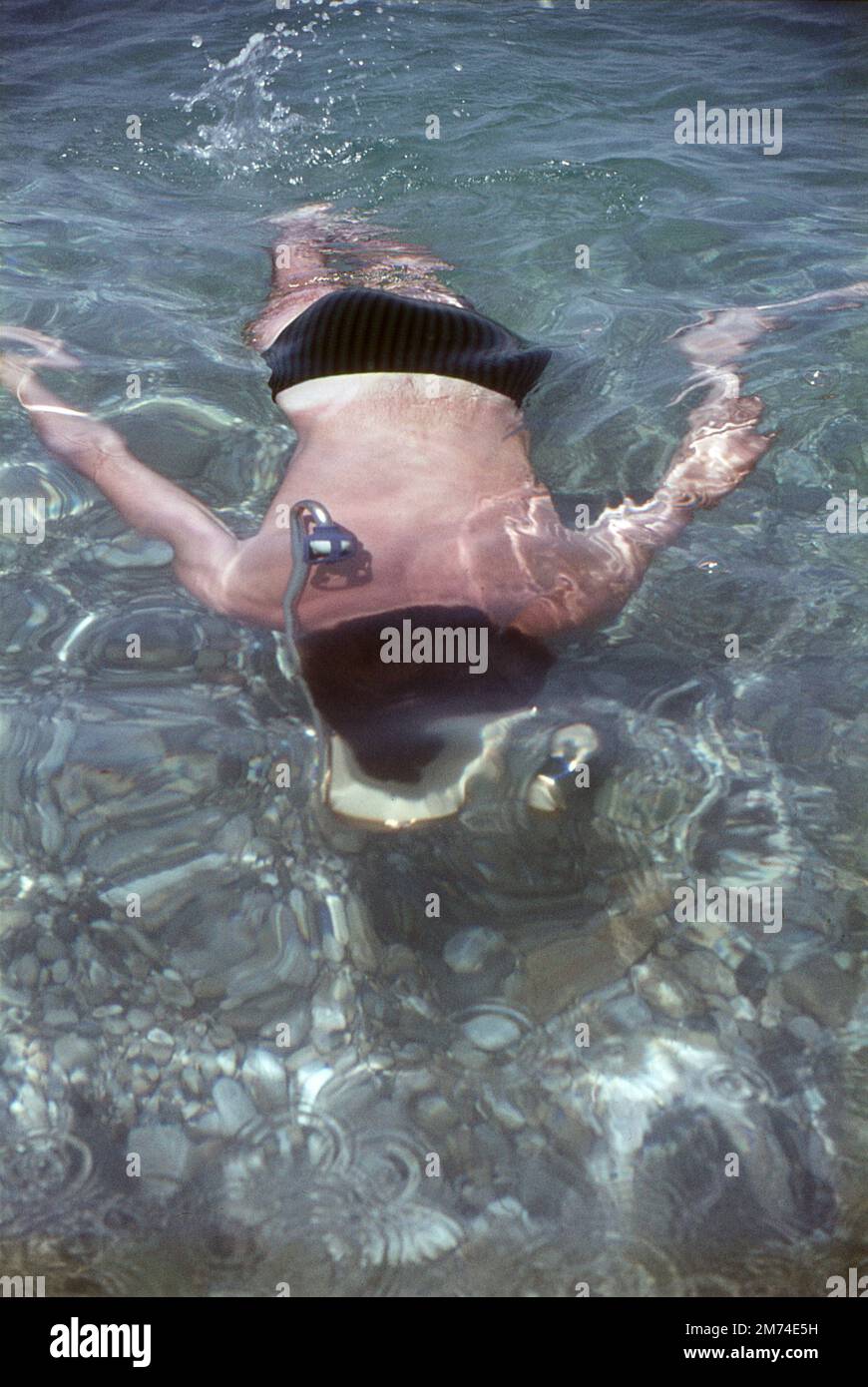Xylokastro, Greece. August 1963. A young man snorkelling in the Gulf of Corinth at the seaside town of Xylokastro in Corinthia in the Peloponnese, Greece. Stock Photo