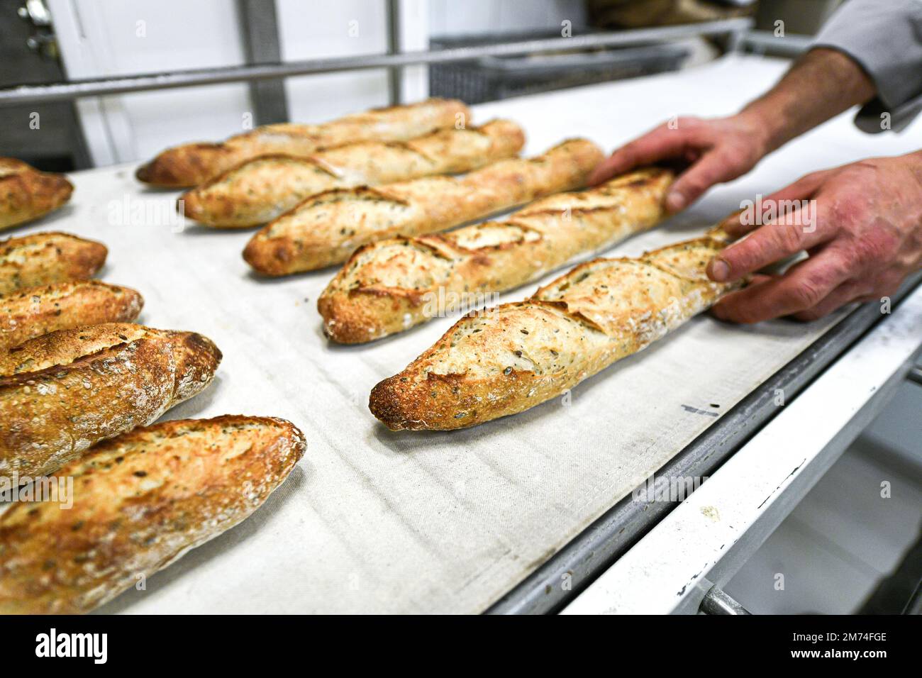Illustration picture shows a French baker loading baguettes (French