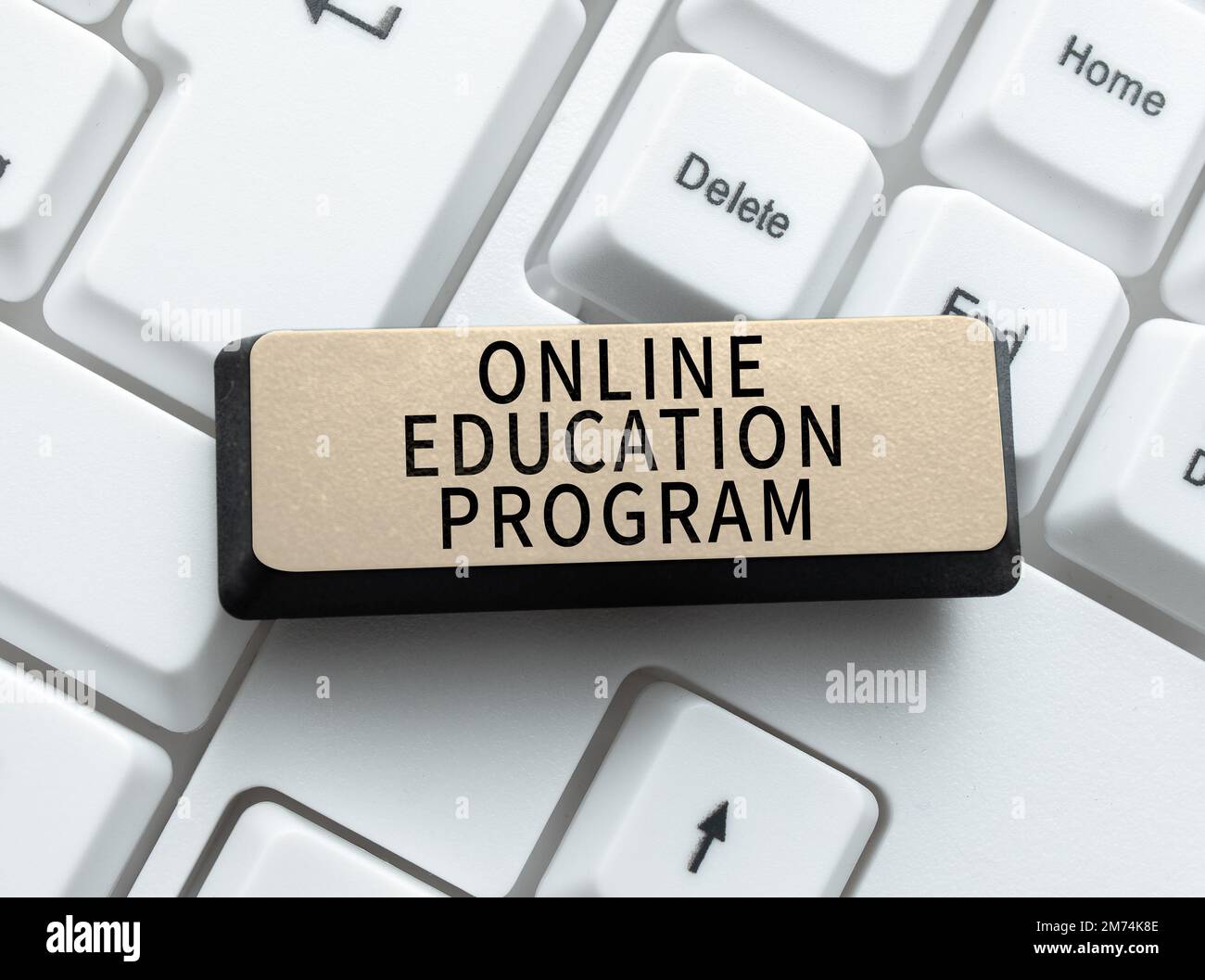 Writing displaying text Online Education Program. Word for Software development and programming courses Stock Photo