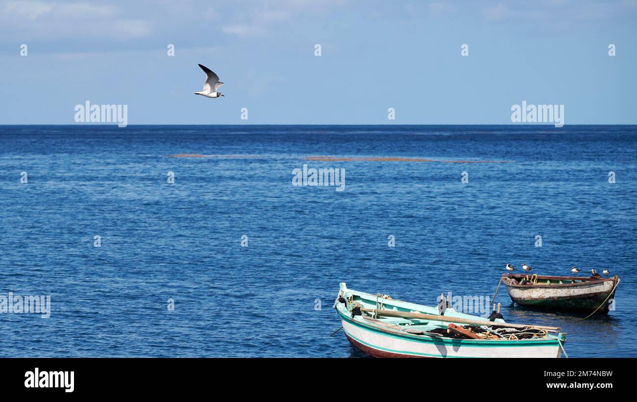 An aerial beautiful view of boats sailing on bright blue water under a