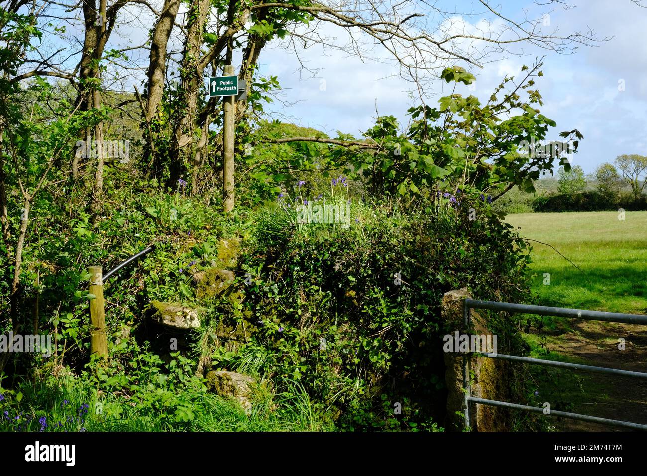 Stone stolen a Cornish footpath - John Gollop Stock Photo