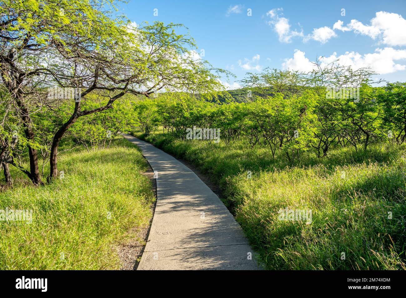 View of the hiking path inside the Diamond Head crater at Diamond Head
