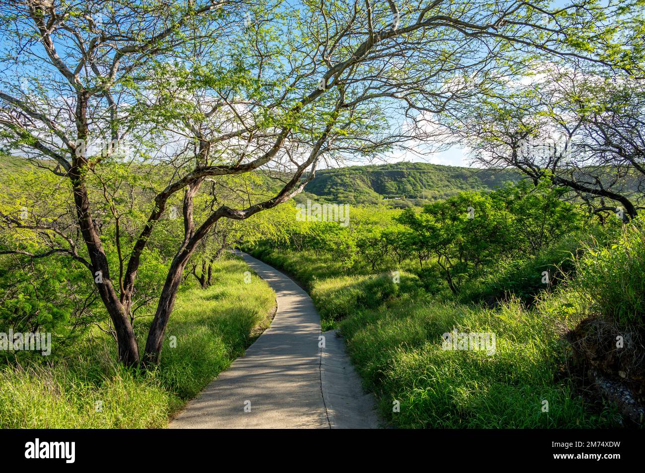 View of the hiking path inside the Diamond Head crater at Diamond Head