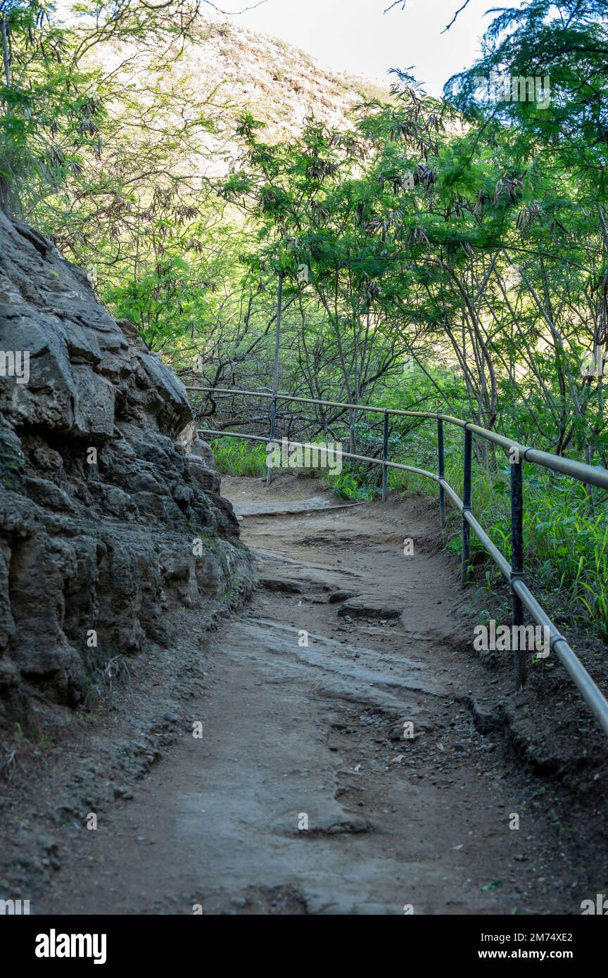 View of the hiking path inside the Diamond Head crater at Diamond Head