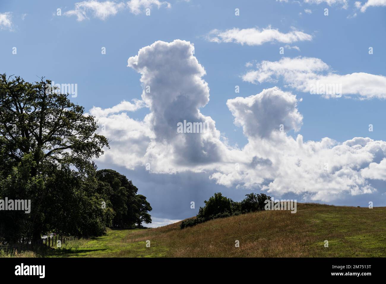 Cumulus congestus - towering cumulus clouds over the Yair Valley in Scotland Stock Photo