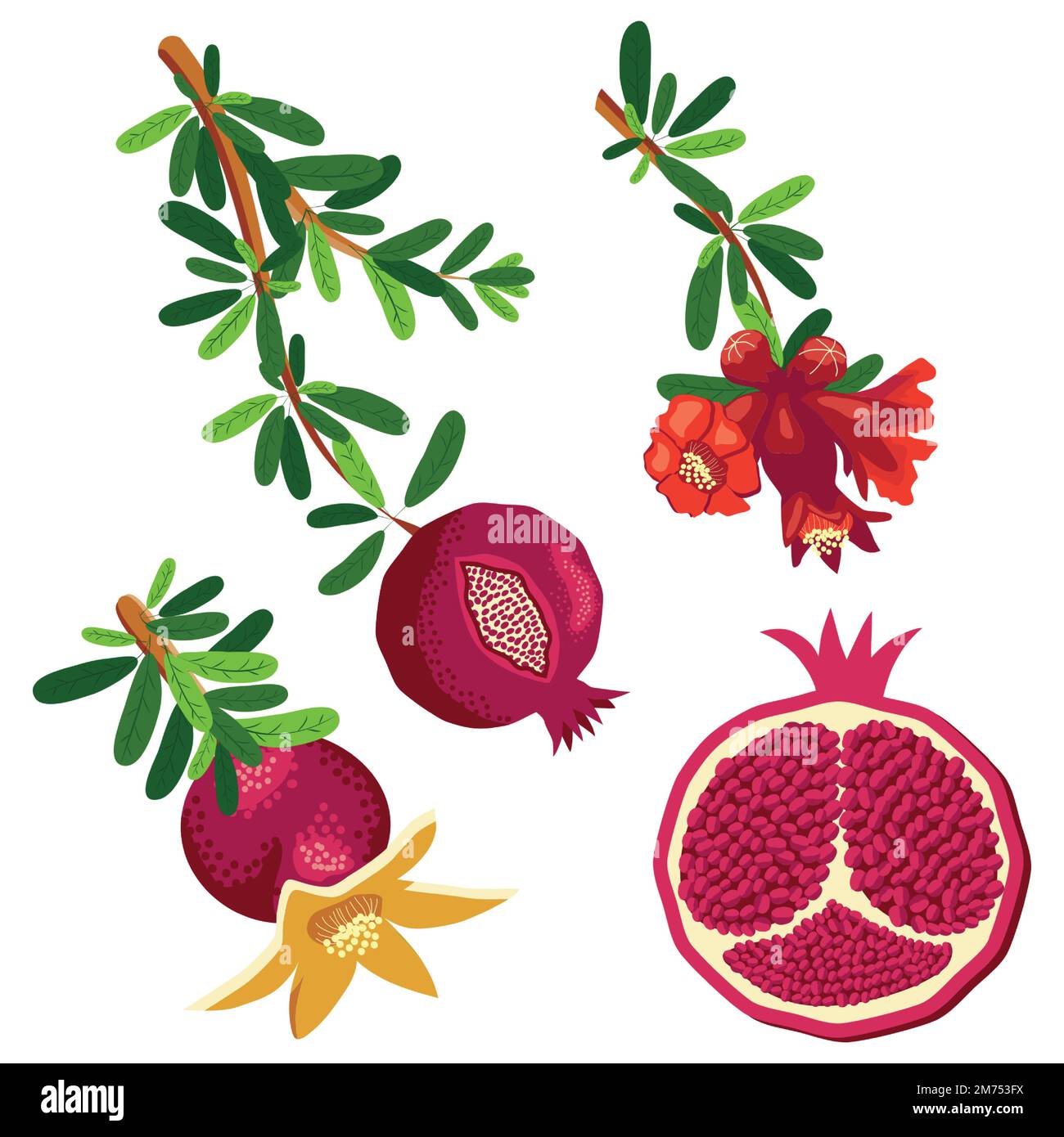 Pomegranate branches with fruits and flowers. Symbol of good luck