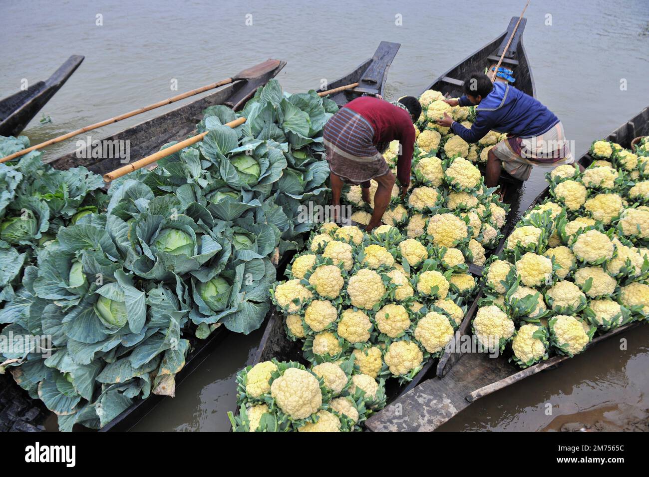 Non Exclusive 7 January 2023 in SylhetBangladesh During the winter