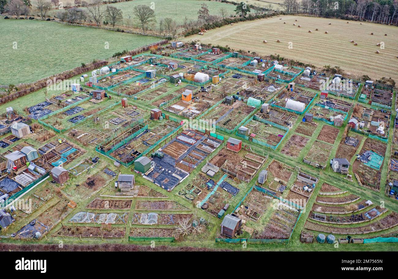 Allotment plots for growing vegetables and fruit for sustainable living in Aberdeenshire Stock Photo