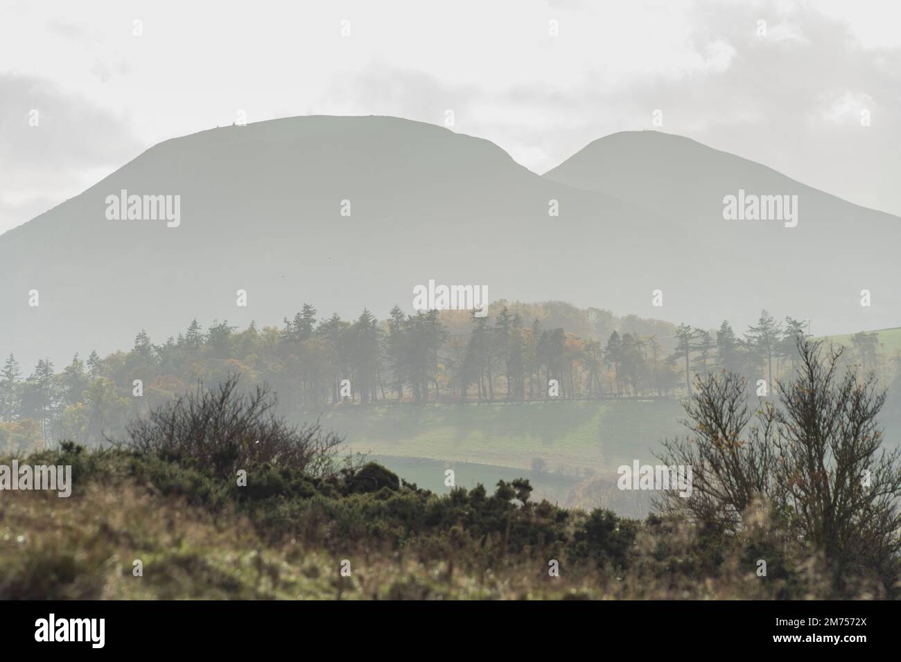 The Eildon Hills seen from the summit of Black Hill, in the Scottish Borders near Earlston. Stock Photo