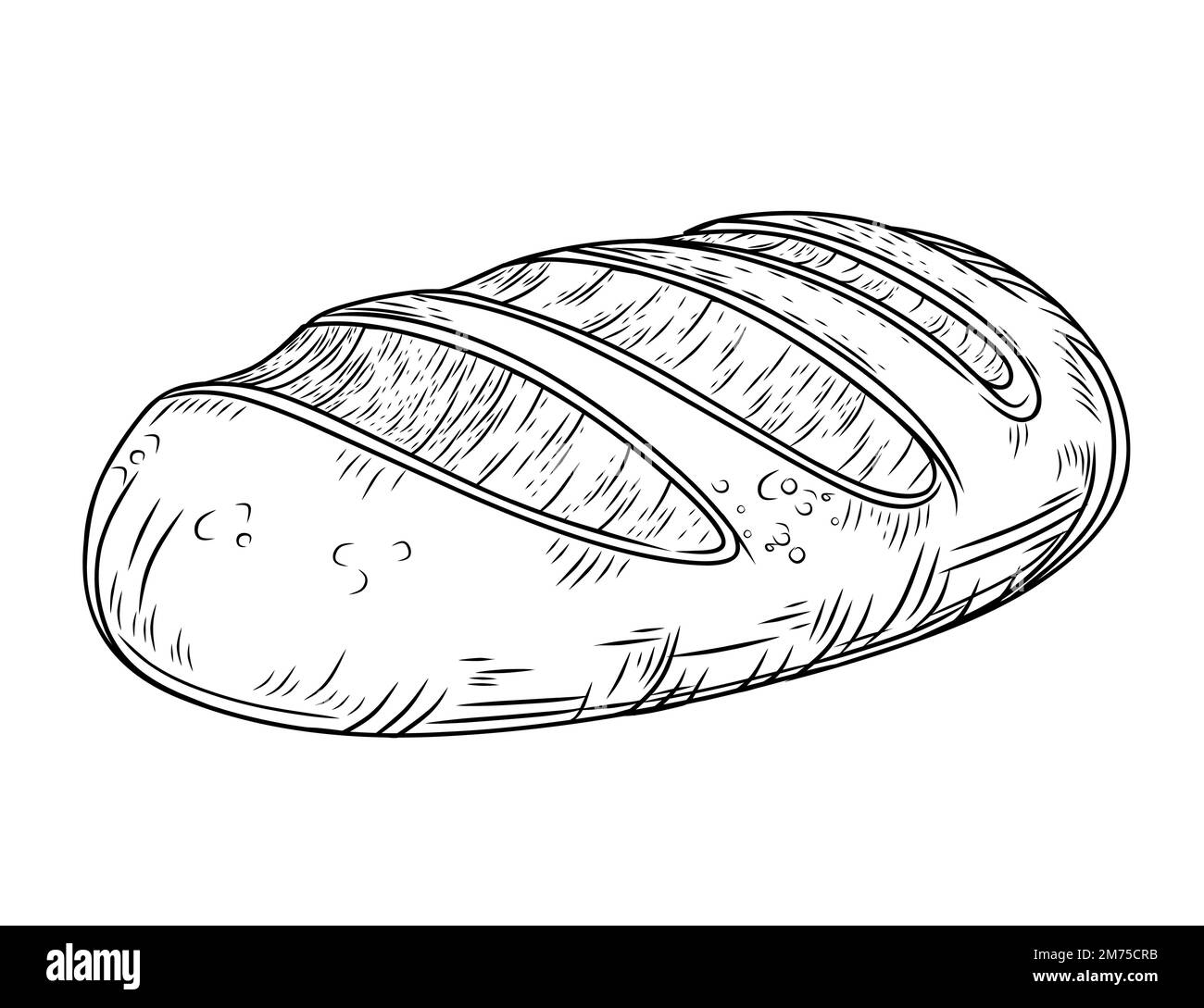 Fresh tasty white bread hand drawn style vector illustration isolated