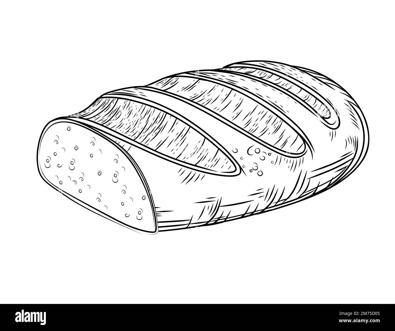 Fresh tasty white bread hand drawn style vector illustration isolated