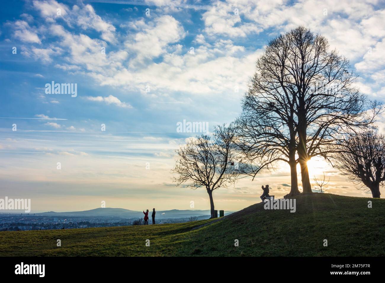 Wien, Vienna meadow and viewpoint Bellevuewiese, leafless trees