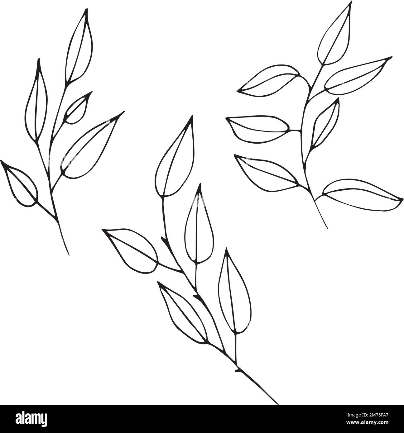 Set of graphic vector plant branches with leaves and flowers Stock ...