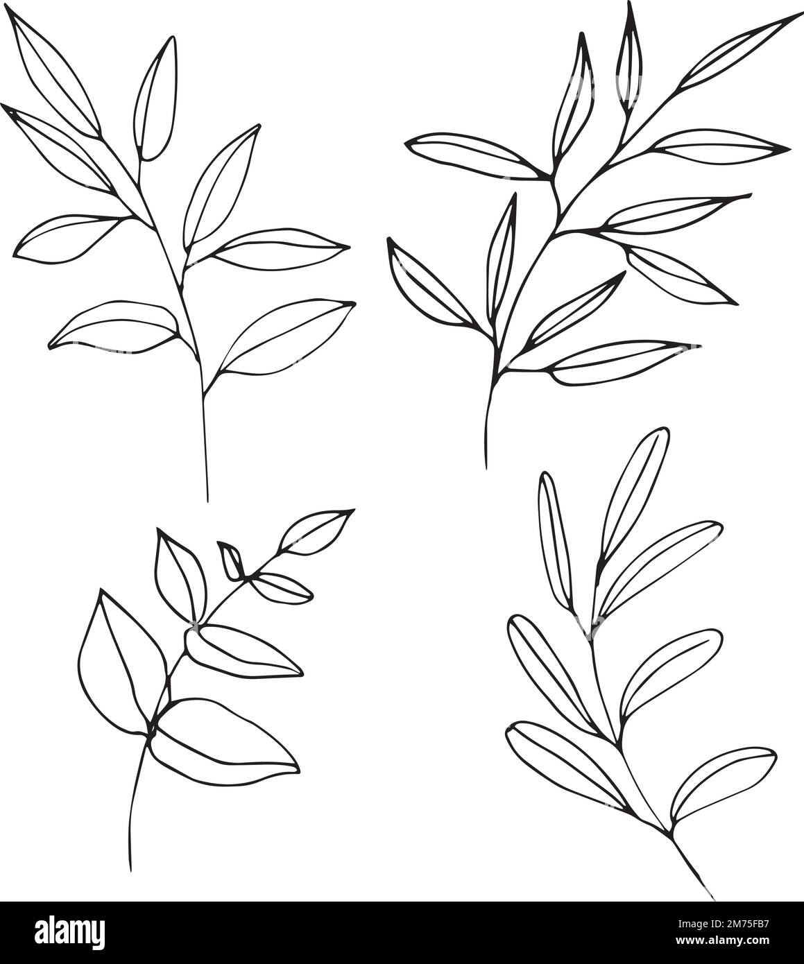 Set of graphic vector plant branches with leaves and flowers Stock ...