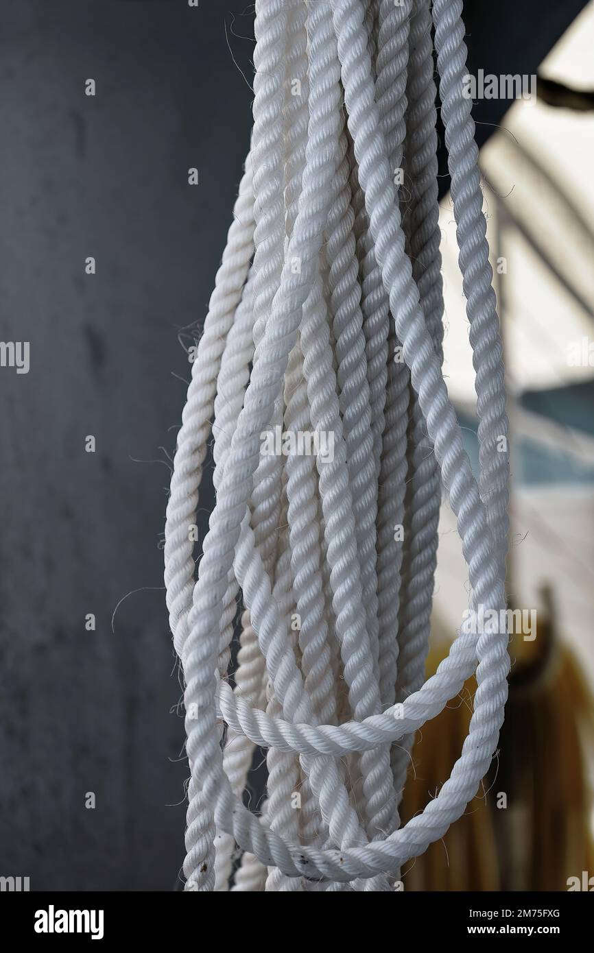 385 Coil of synthetic white rope for rescue on the deck of a tourist pontoon. Great Barrier Reef-Australia. Stock Photo
