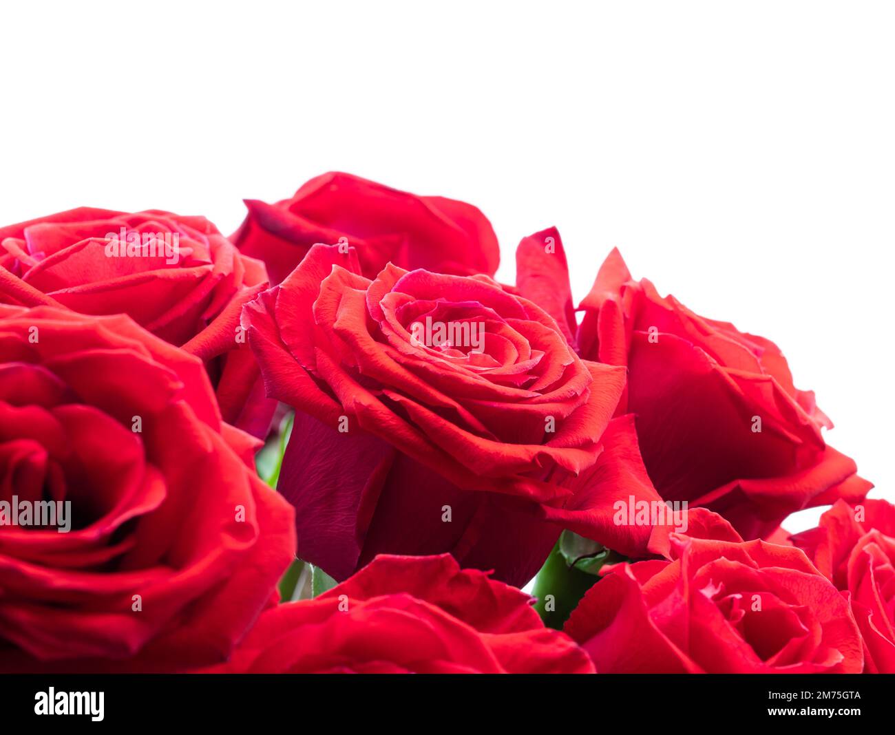 Red roses bouquet isolated on white background Stock Photo - Alamy