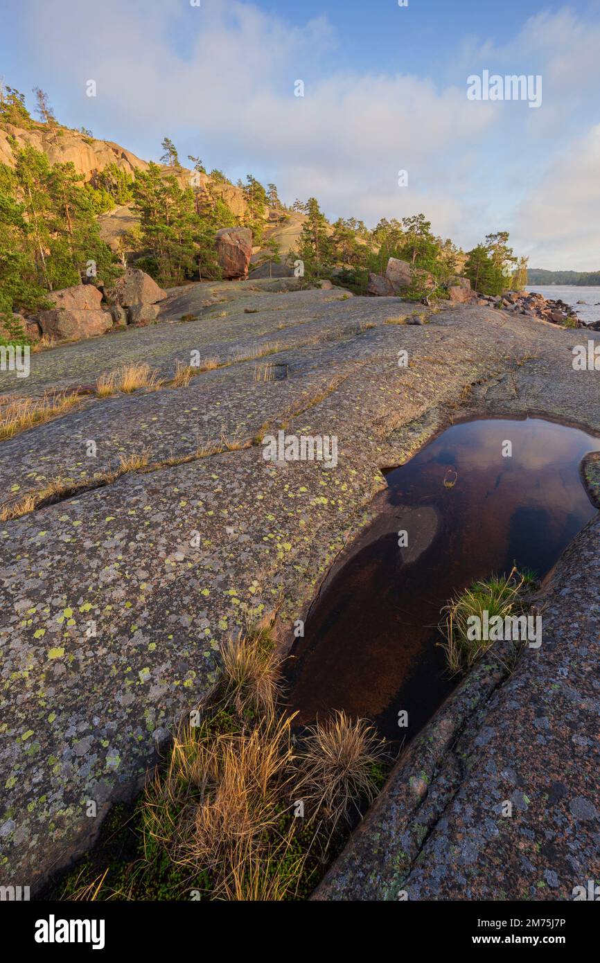 Rocky cliff and plants by the sea at Geta in Åland Islands, Finland, on a sunny day in the summer. Stock Photo
