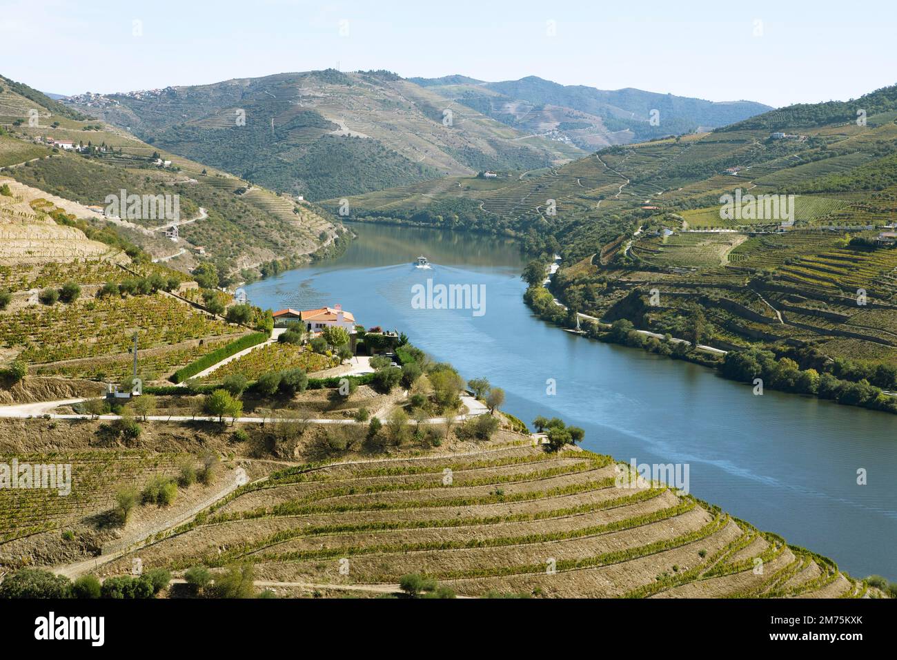 Wine terraces in the Alto Douro Valley on the Douro River, wine region with protected designation of origin, Norte region, Portugal Stock Photo