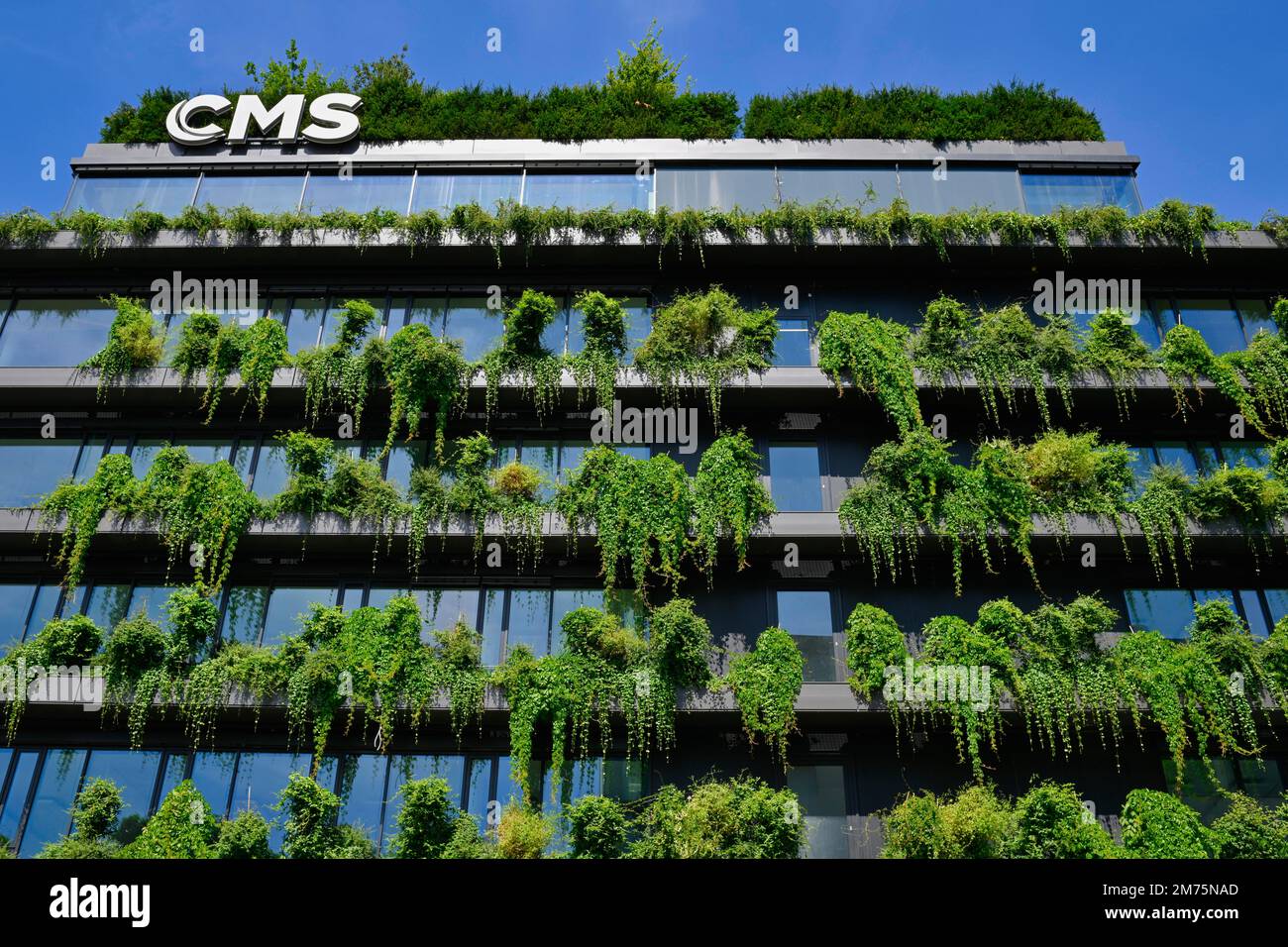 Facade Greening On New Building CMS Hasche Sigle Office Building 