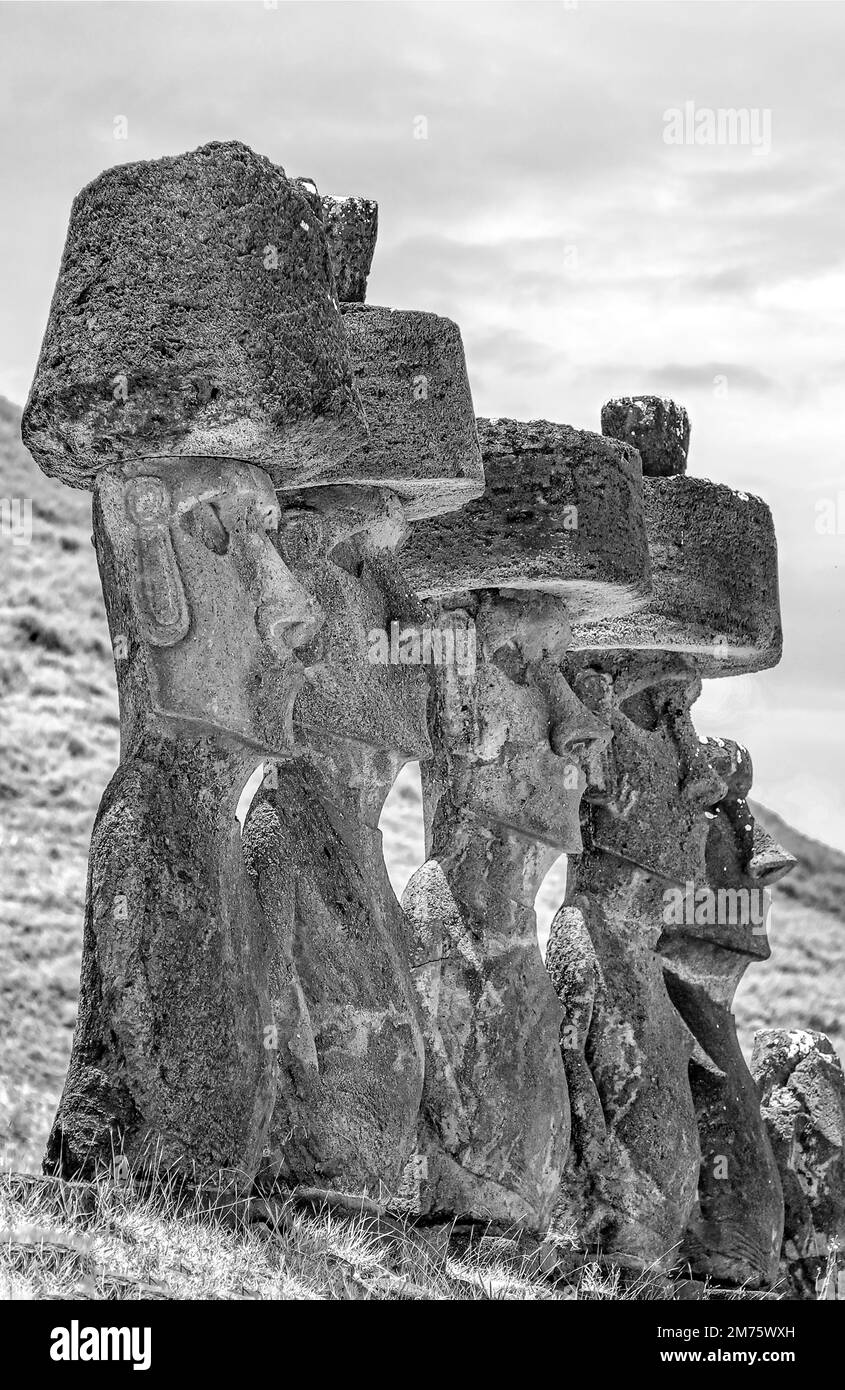 Row of Moai Status with pukao headdress of the Ahu Nao-Nao at Anakena Beach on Easter Island, Chile in black and white Stock Photo