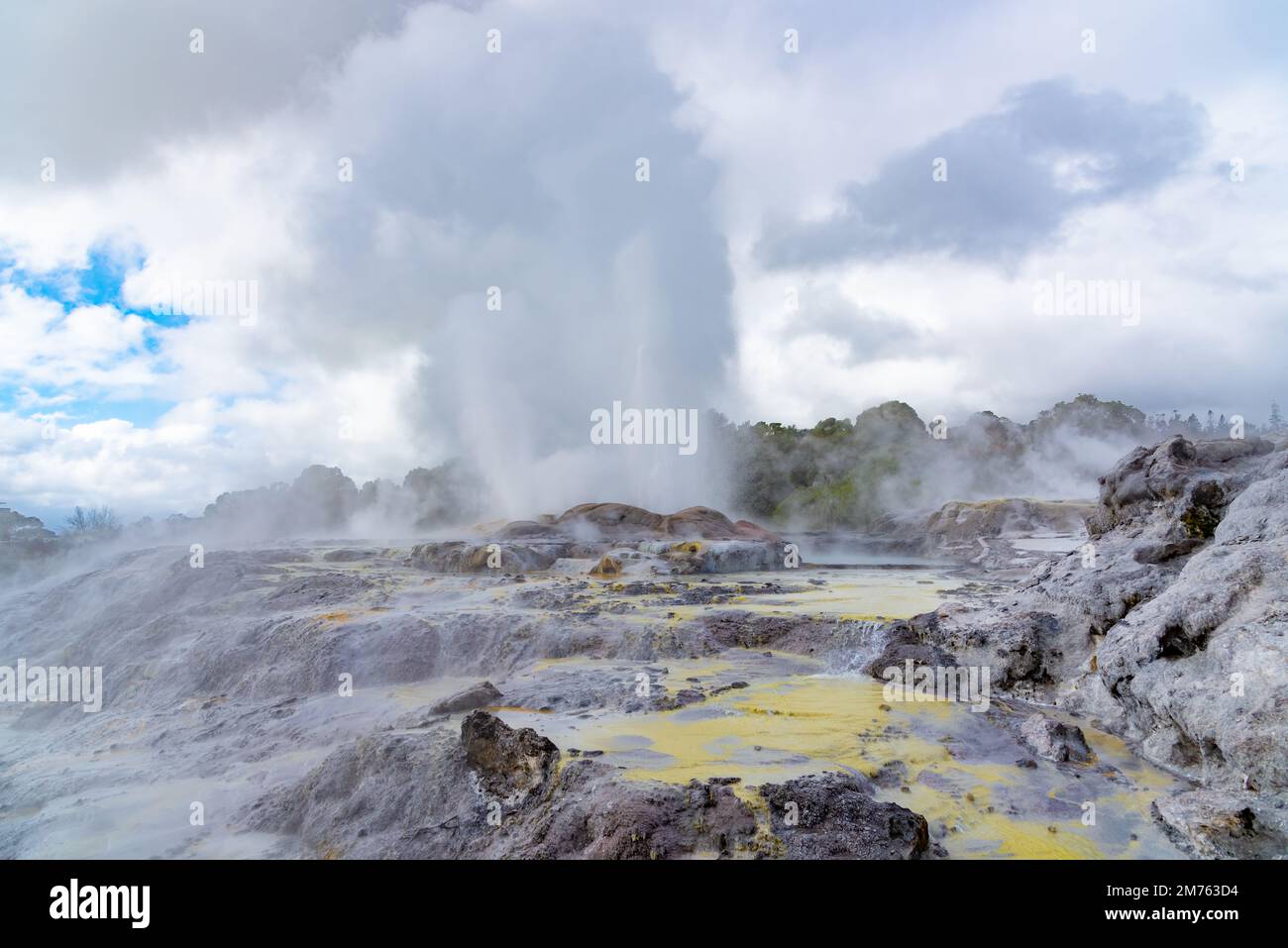 A gushing geyser in the geothermal resort town of Rotorua Stock Photo ...