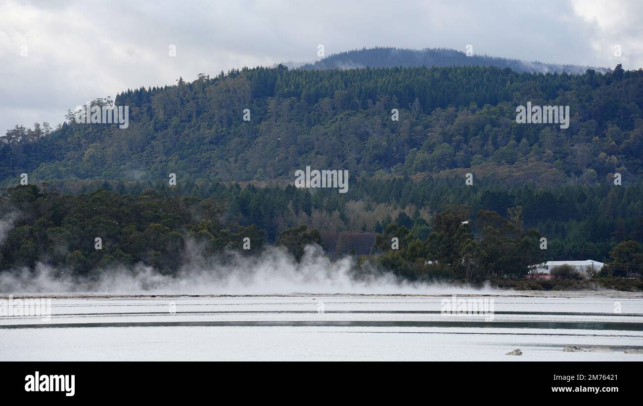 Steam rising from Lake Rotorua due to geothermal activity Stock Photo ...