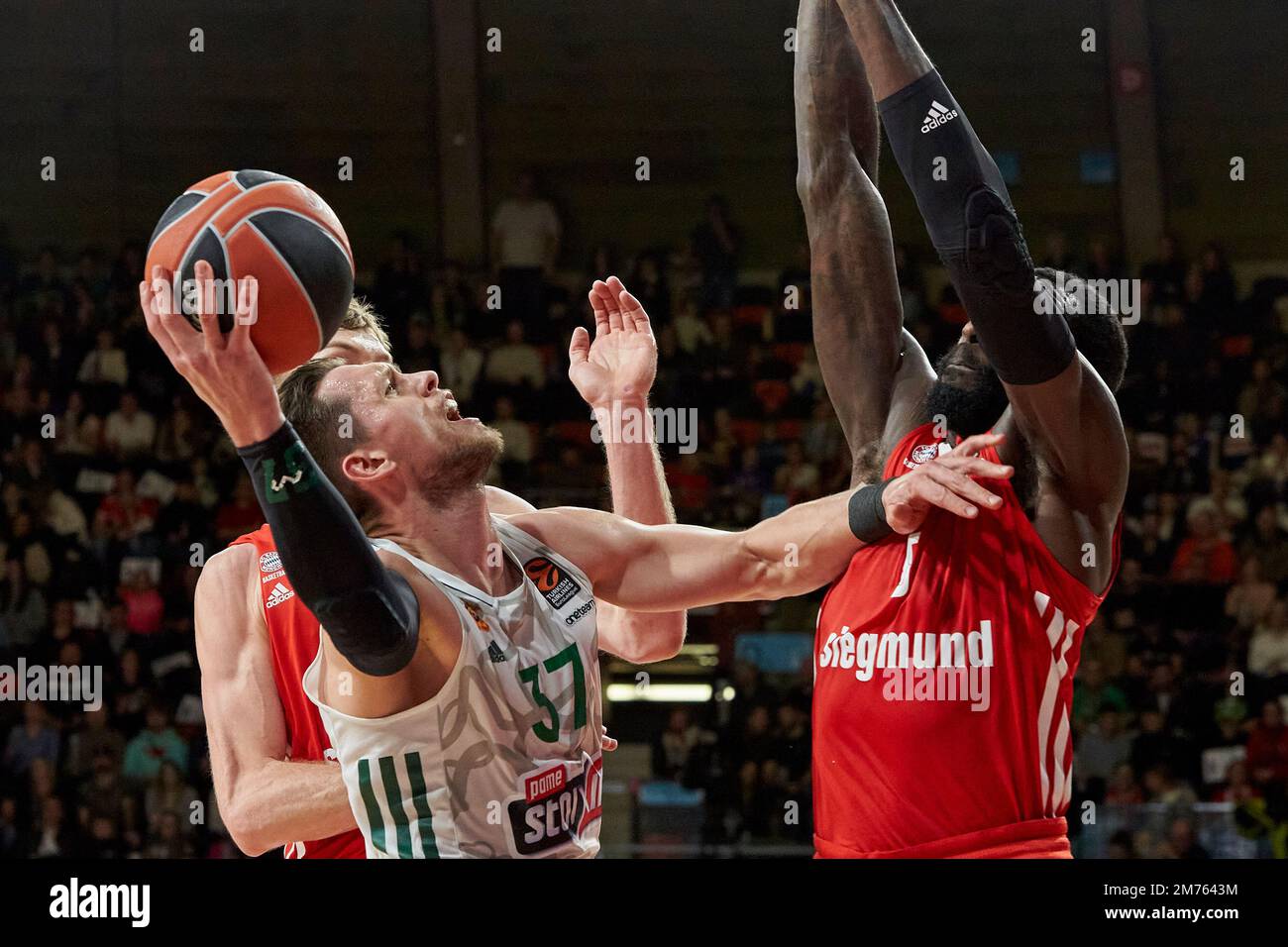 FIBA EuroLeague 2022/2023 | München FC Bayern vs Panathinaikos Athen ...