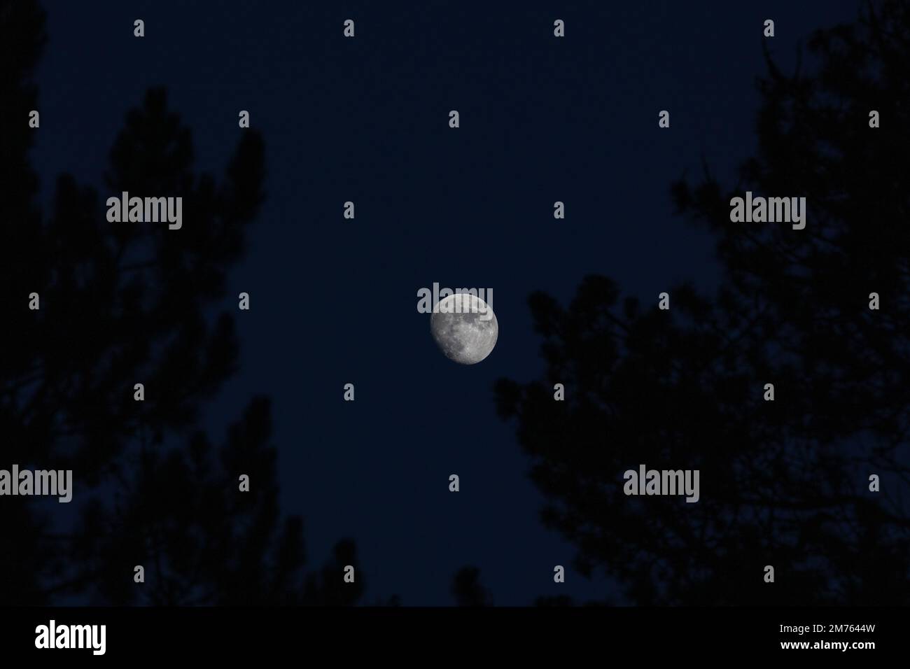 Closeup of the waxing moon a few days before full moon early