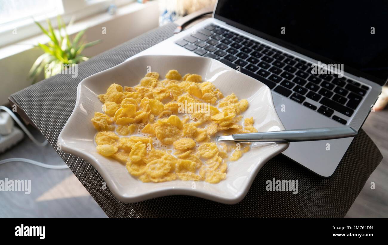 Delicious bowl of cereal and a notebook, ready for a productive day at home. Home related Stock Photo