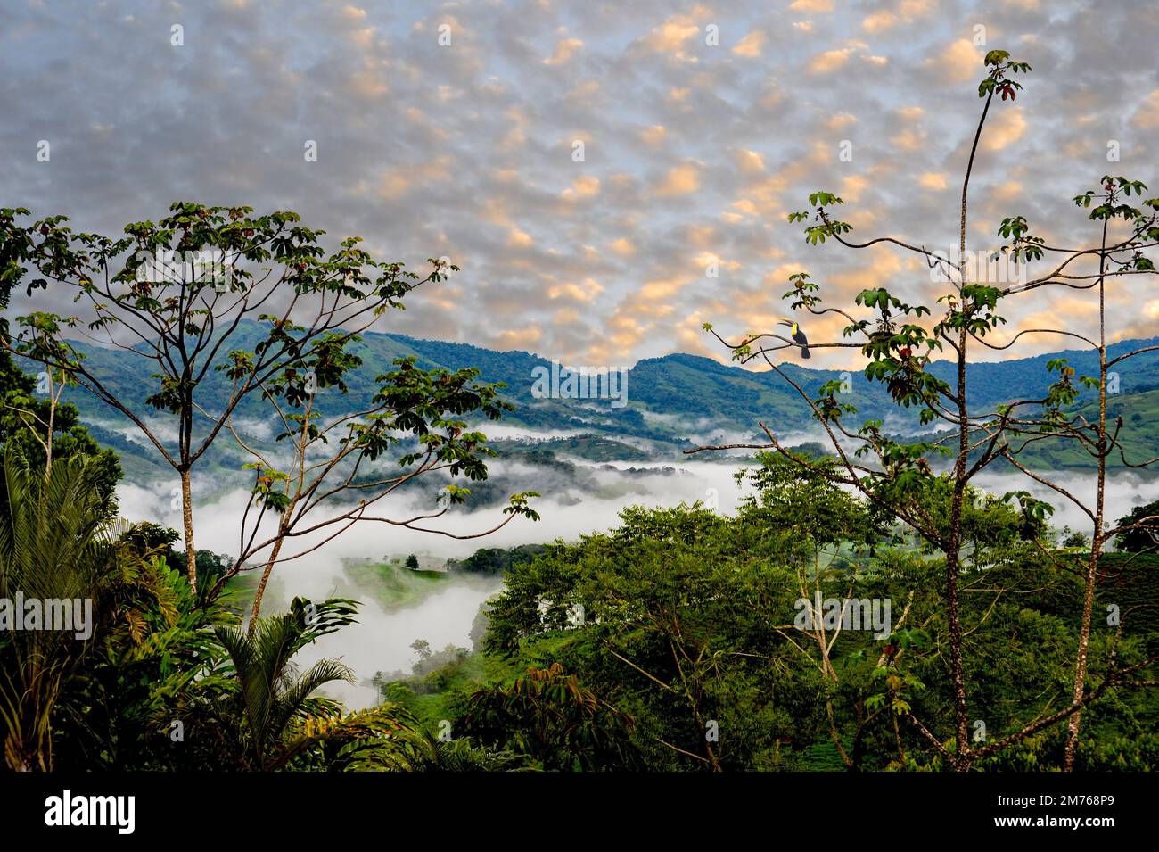 Panoramic mountain view of the rainforest and jungle landscape in Costa