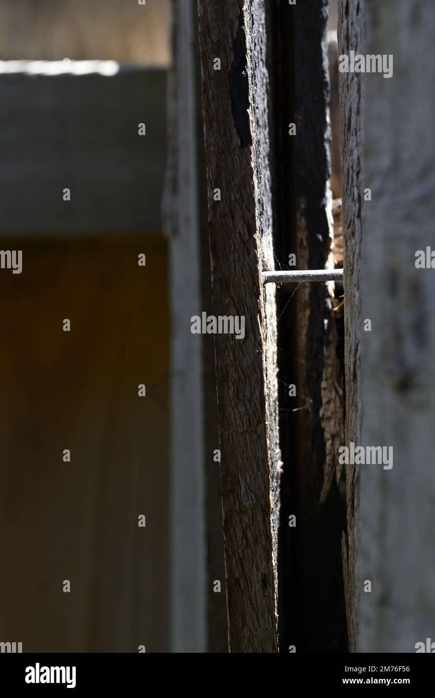 Nail poking out of a wooden fence paling, as the timber paling comes