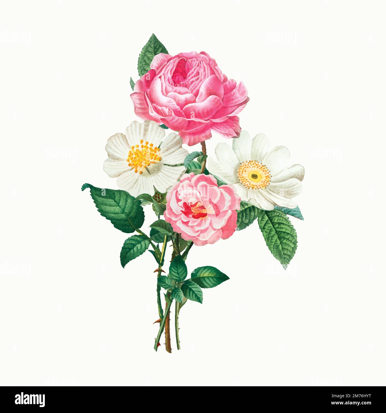 Vintage pink and white roses vector Stock Vector
