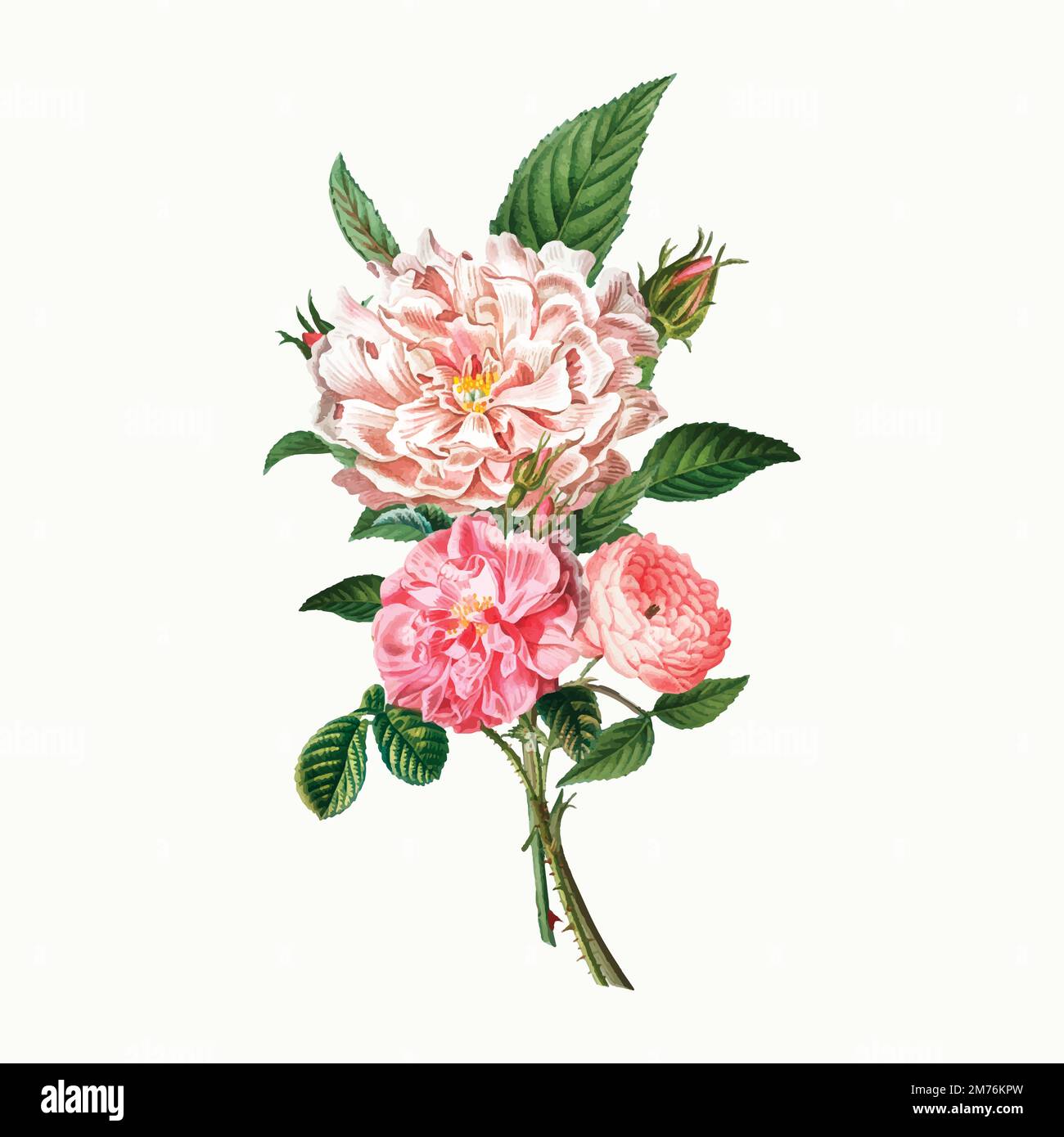 Vintage pink peonies and roses vector Stock Vector