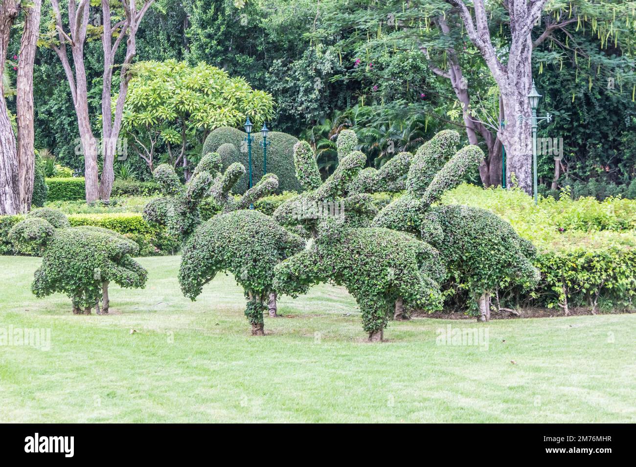 Topiary animals, Hua Hin , Thailand Stock Photo