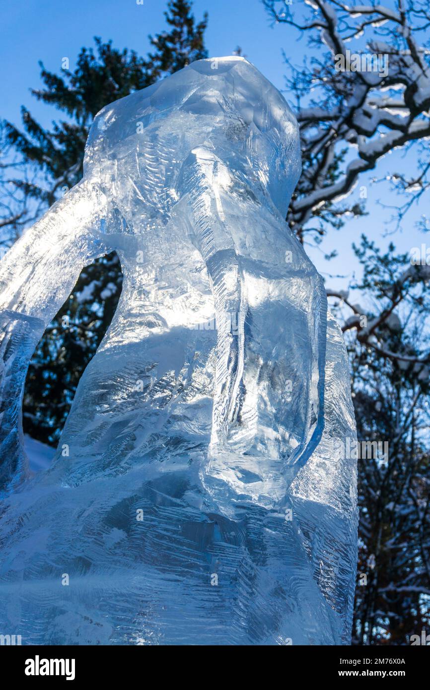 Ice sculpture of a rabbit in the sunshine at Higashikawa Shrine at New Year in Higashikawa town, Hokkaido, Northern Japan Stock Photo
