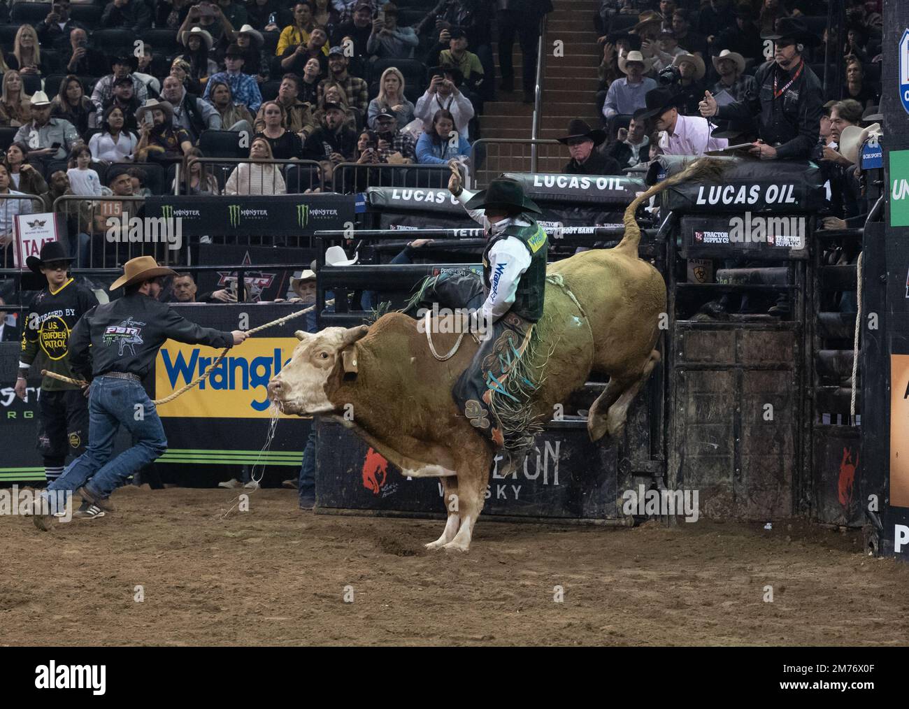 New York, New York, USA. 7th Jan, 2023. Professional bull rider DAKOTA