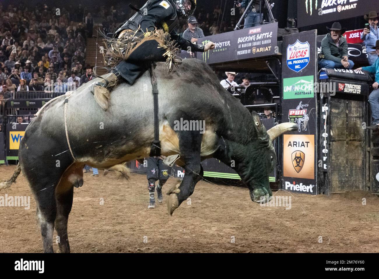 Cooper Davis New York, New York, USA. 7th Jan, 2023. Professional bull rider COOPER