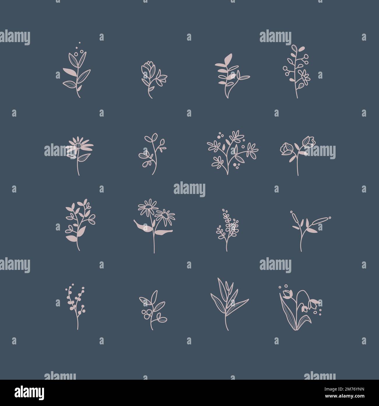 Set of hand drawn botanical elements vector Stock Vector Image & Art ...