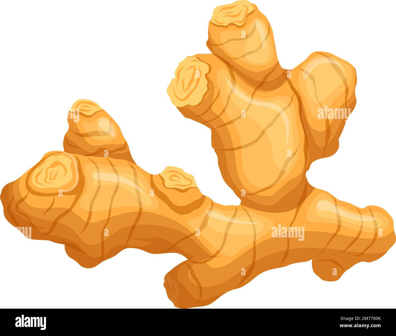 ginger root cartoon vector illustration Stock Vector Image & Art - Alamy