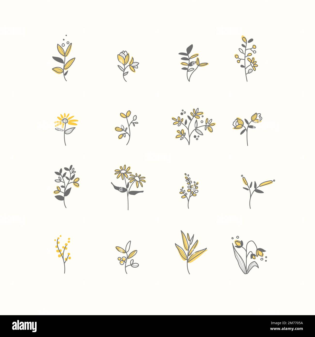 Set of hand drawn botanical elements vector Stock Vector Image & Art ...