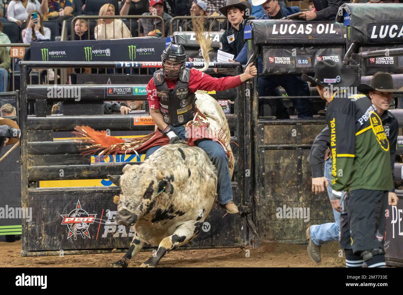 Bull Riding Shark Machine Shark strap hi-res stock photography and images - Alamy