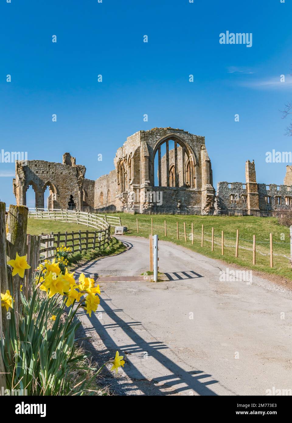 Egglestone Abbey near Barnard Castle, Teesdale Stock Photo - Alamy