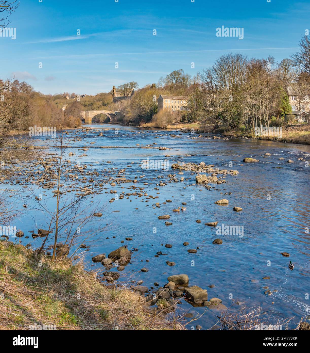 The River Tees and County Bridge, Barnard Castle, Teesdale Stock Photo ...