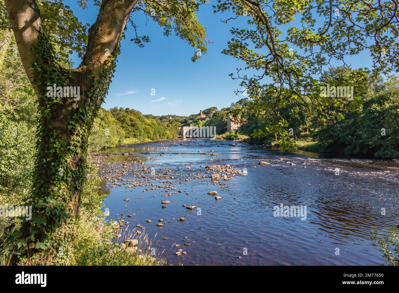 Summer morning on the River Tees at Barnard Castle, Teesdale Stock ...