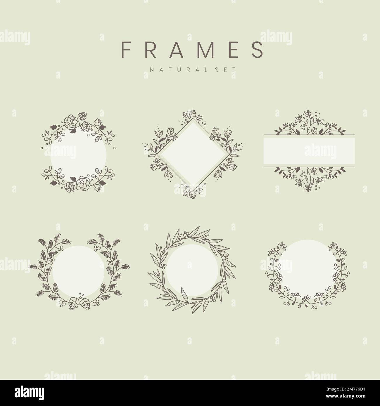 Set of botanical frame design elements vector Stock Vector Image & Art ...