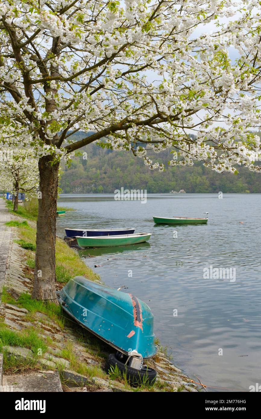 Edertal valley hi-res stock photography and images - Alamy