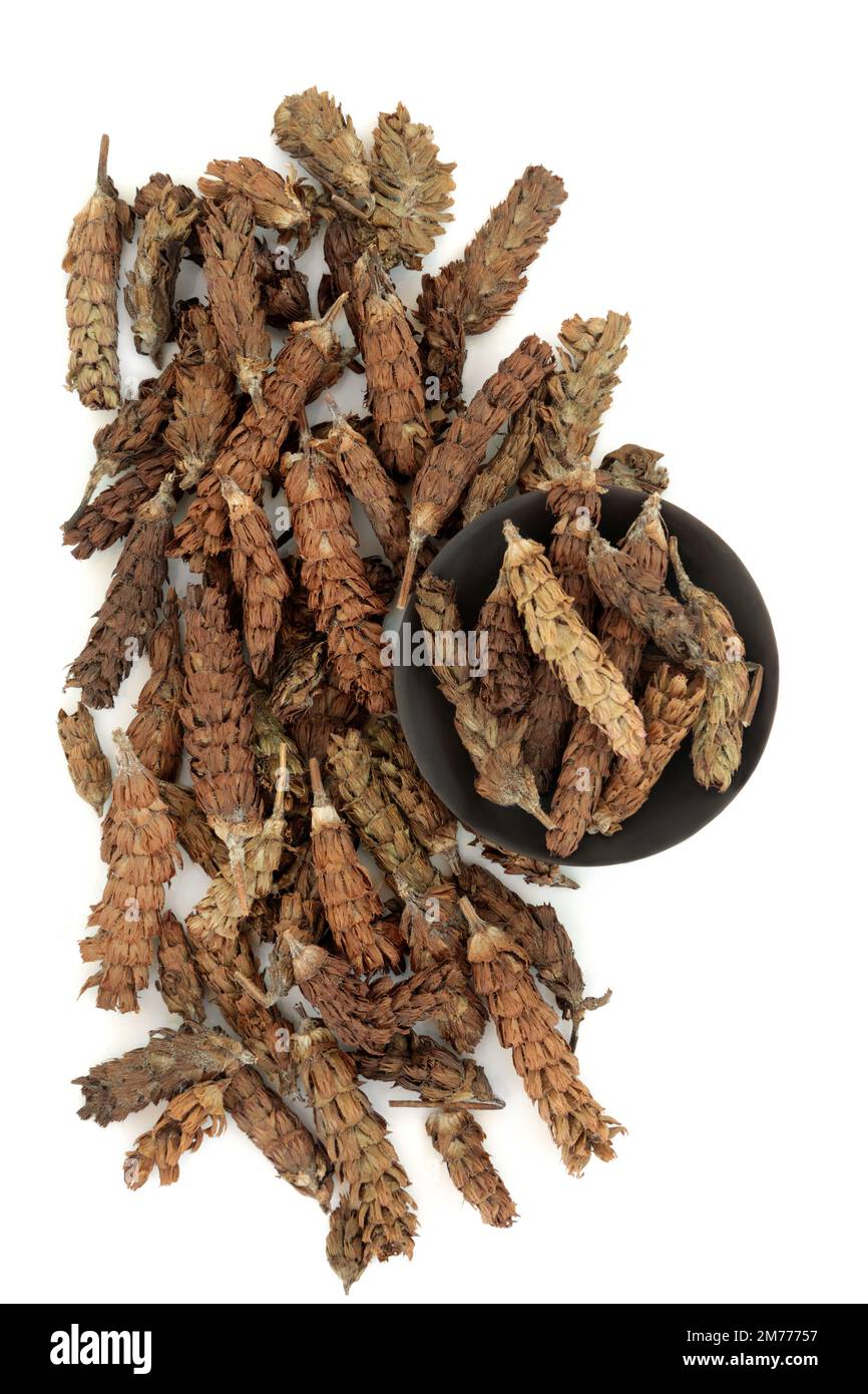 Self heal spike herb used in herbal plant medicine. Treats inflammatory